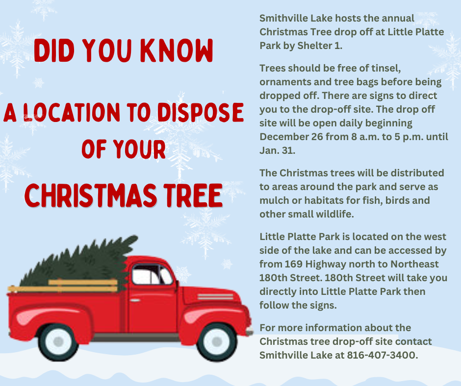 Christmas Tree Drop Off